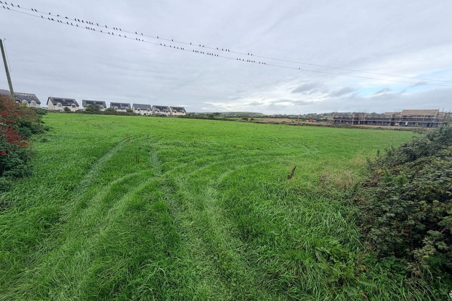 Garryvoe 1 of 6