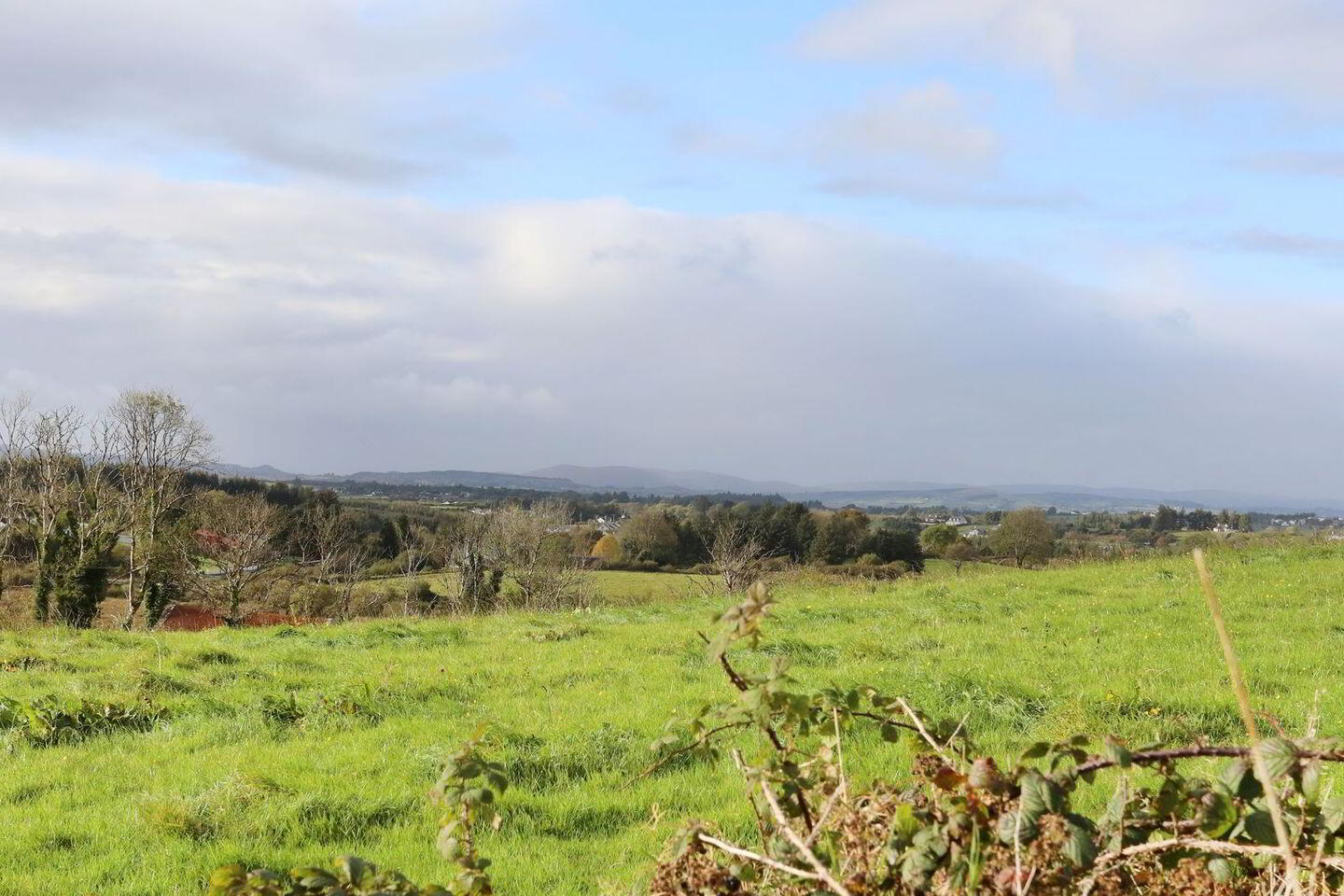 C. 12.5 Acres & Derelict Cottage 16 of 17