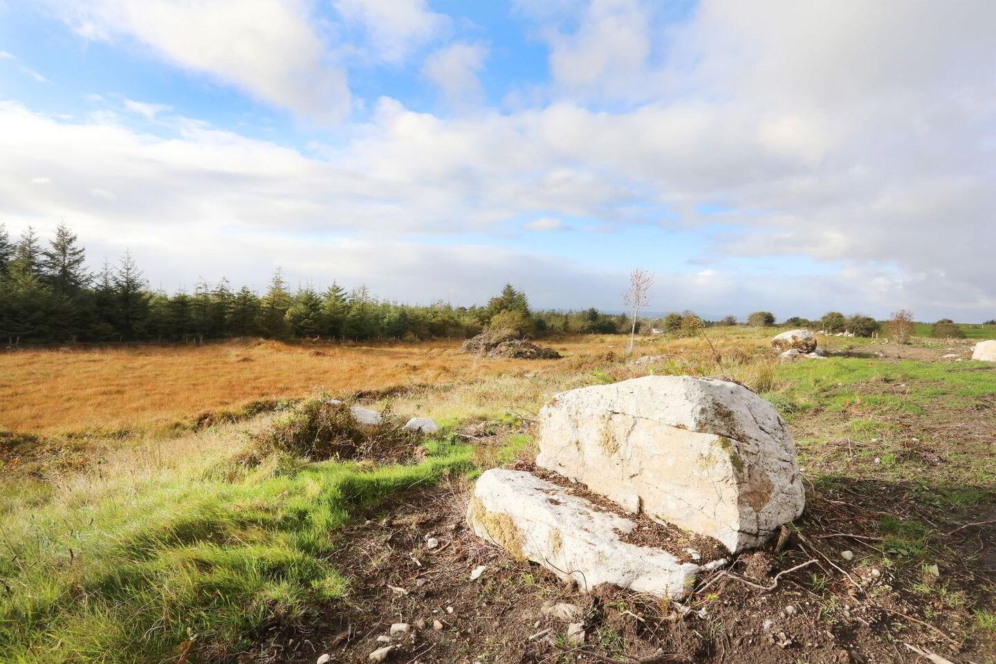 C. 12.5 Acres & Derelict Cottage 16 of 17