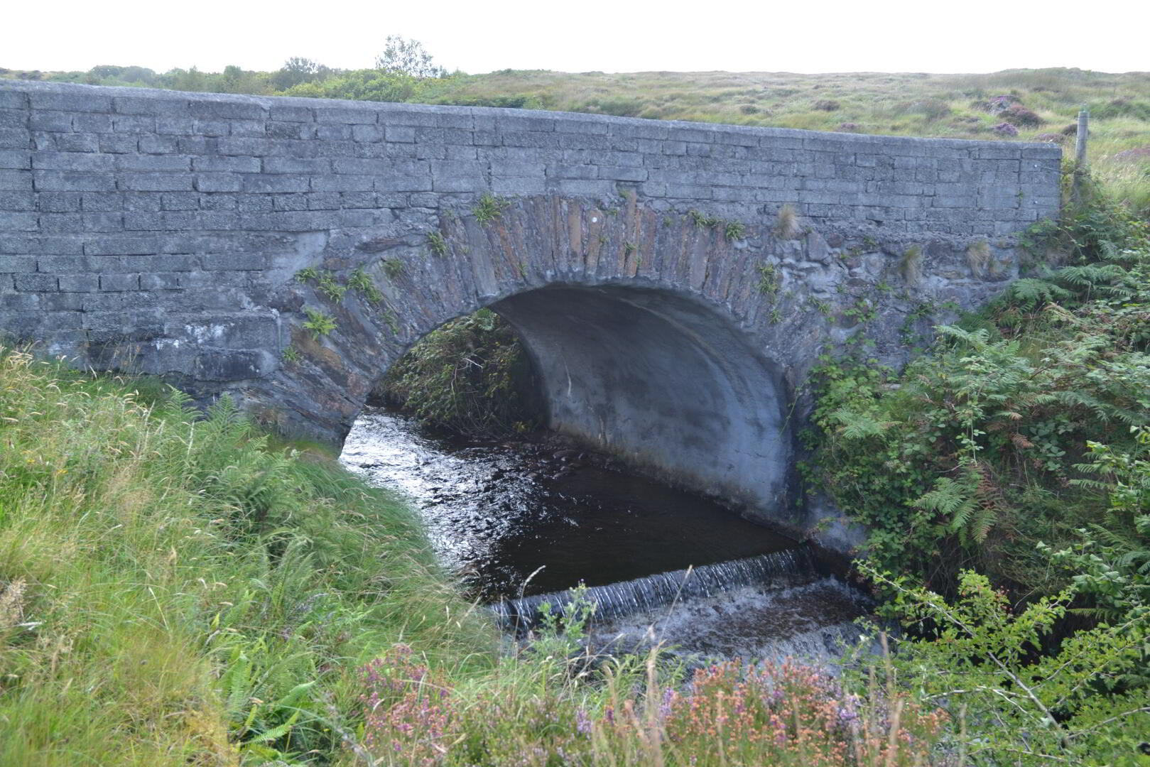 Upper Dunmore 20 of 21