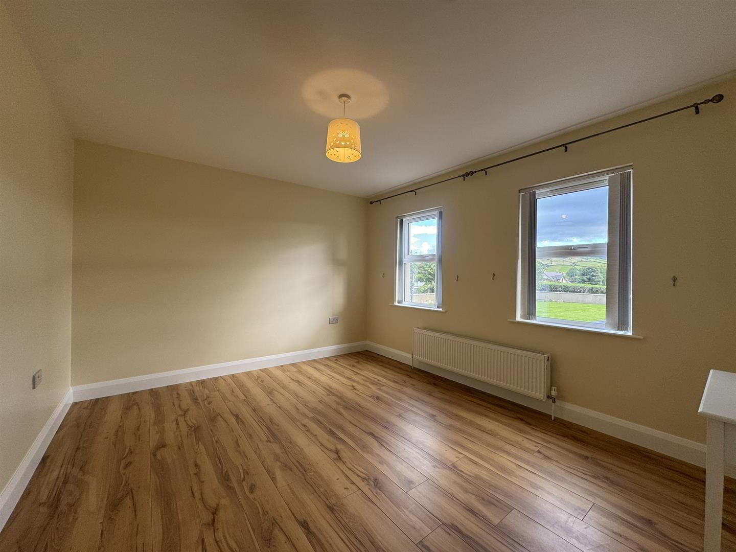 152b Castlewellan Road 3 of 19