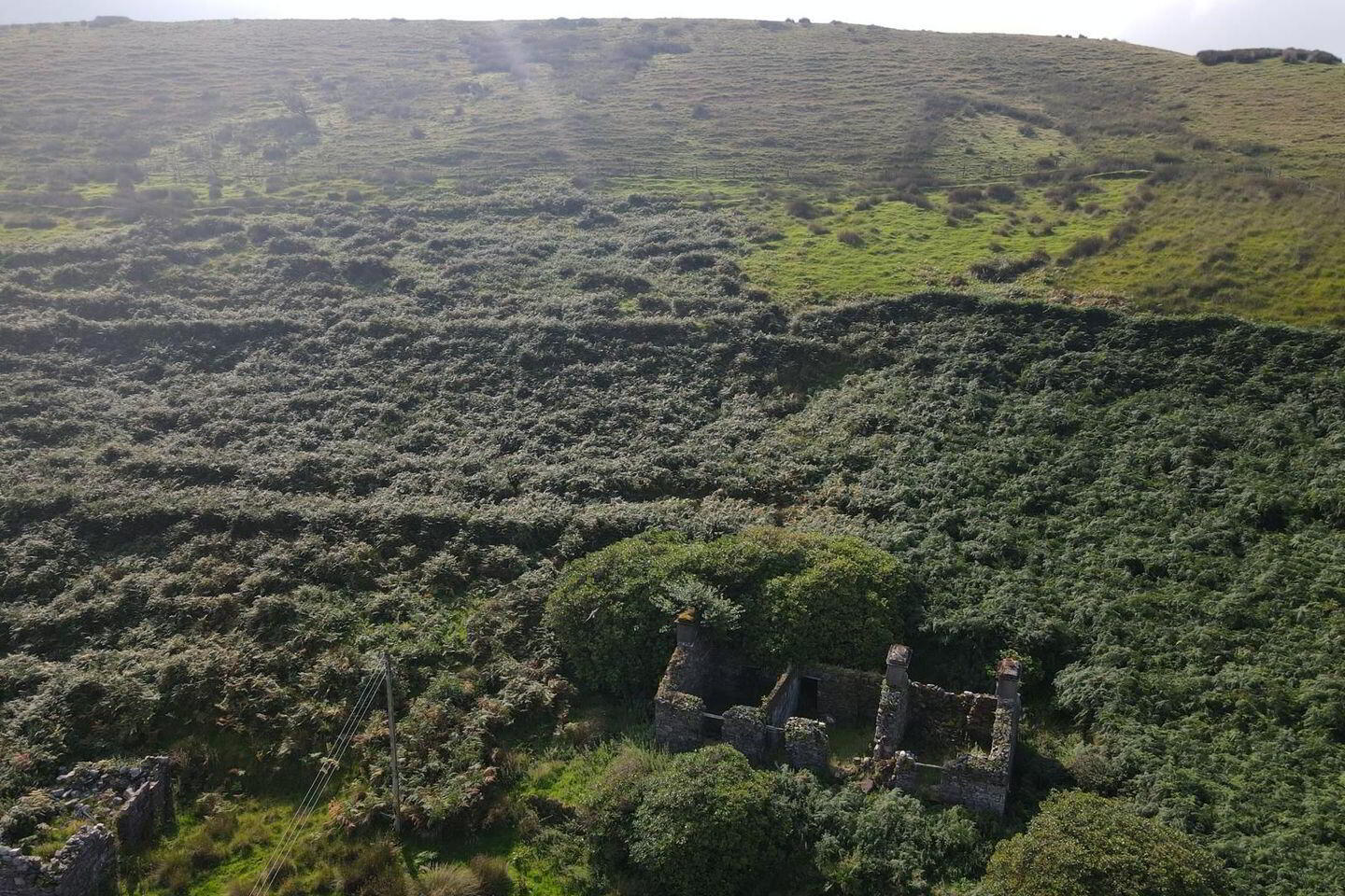 C. 8.27 Acres Shramore 16 of 17