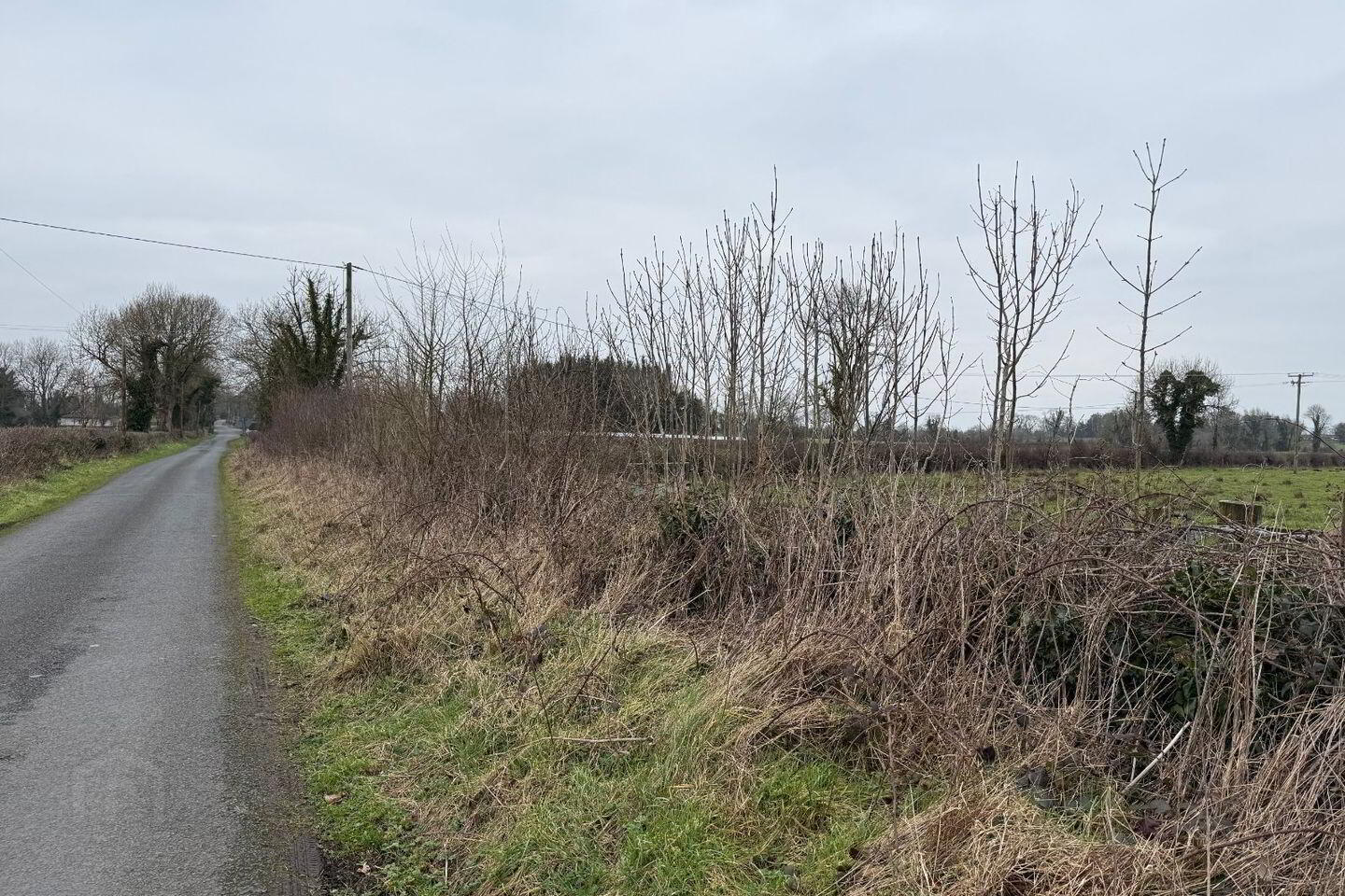 Site At, Lismore 7 of 8