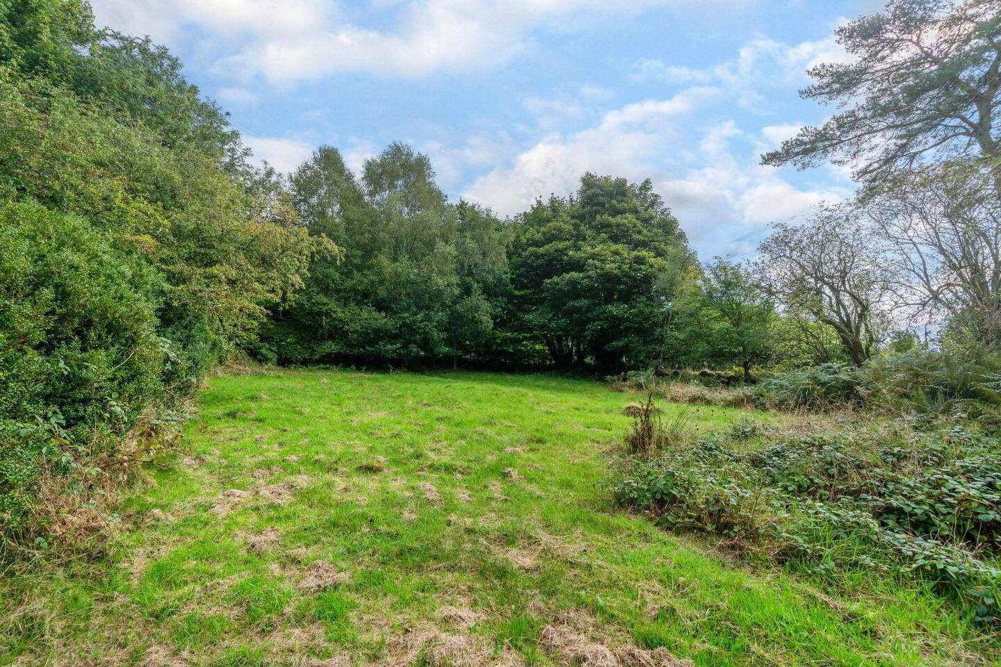 C. 0.97 Cottage On Acre - 0, 39 HA 30 of 30
