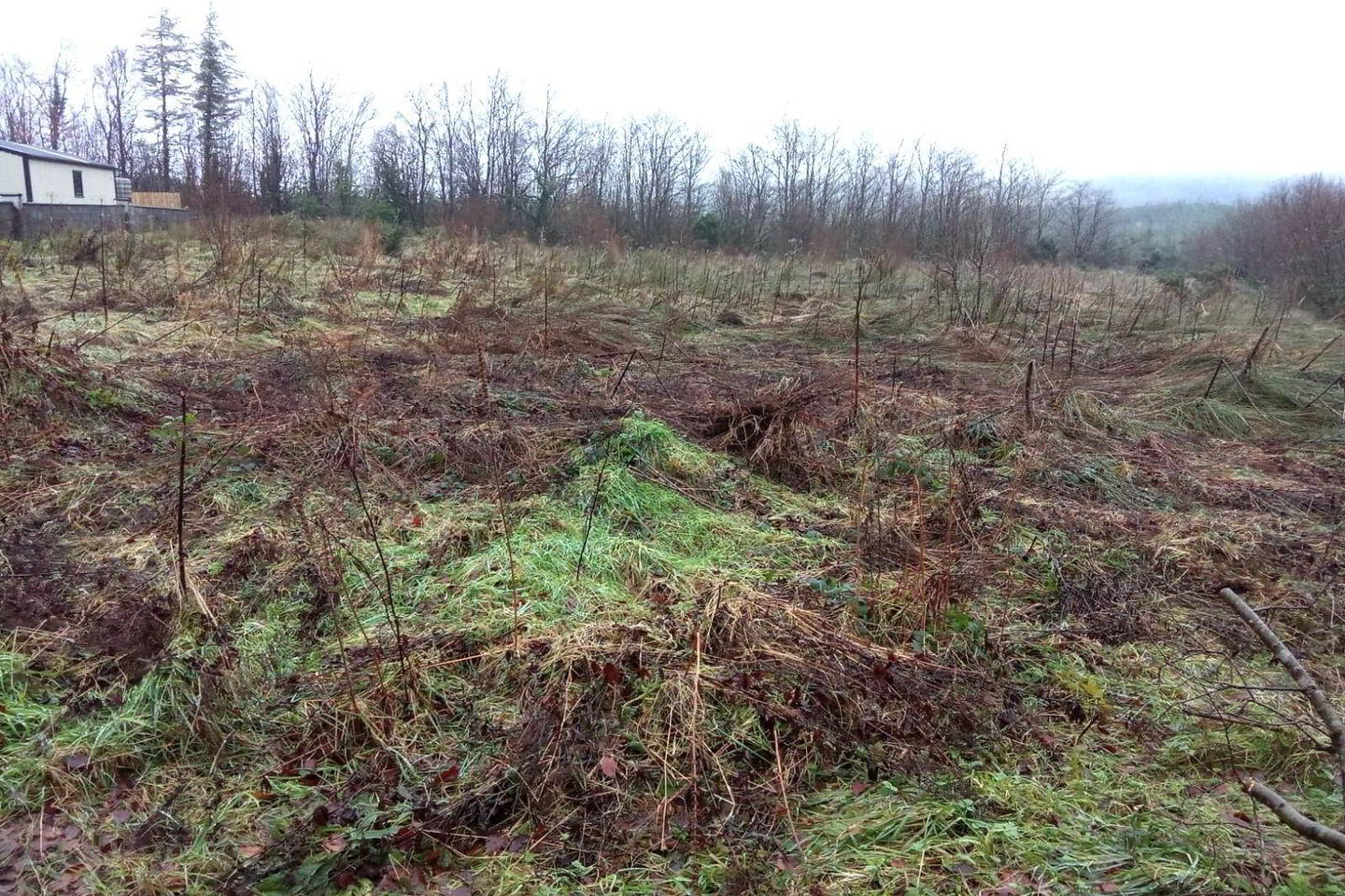 Ardvarney 2 of 2