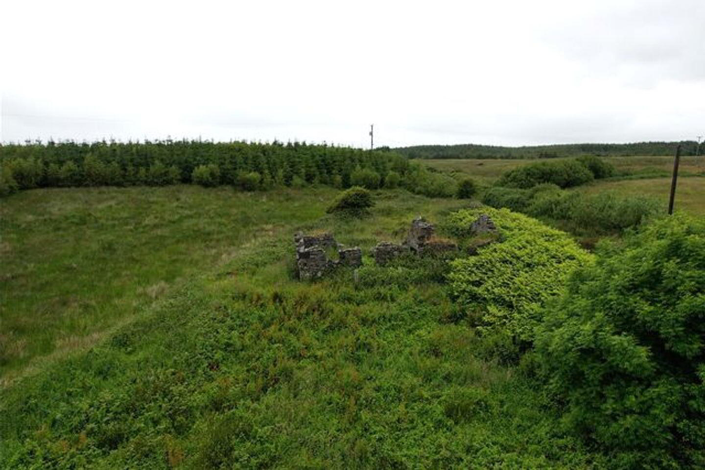 Knockaskeheen 6 of 7