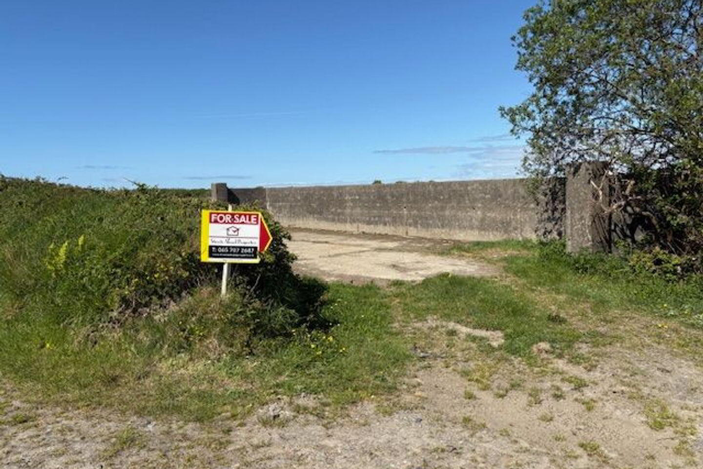 Querrin 18 of 19