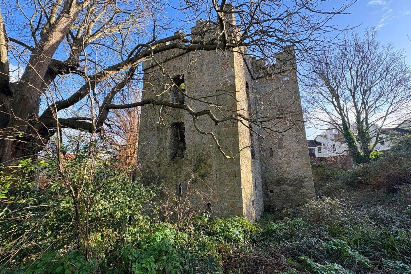 Dundrum Castle 3 of 14