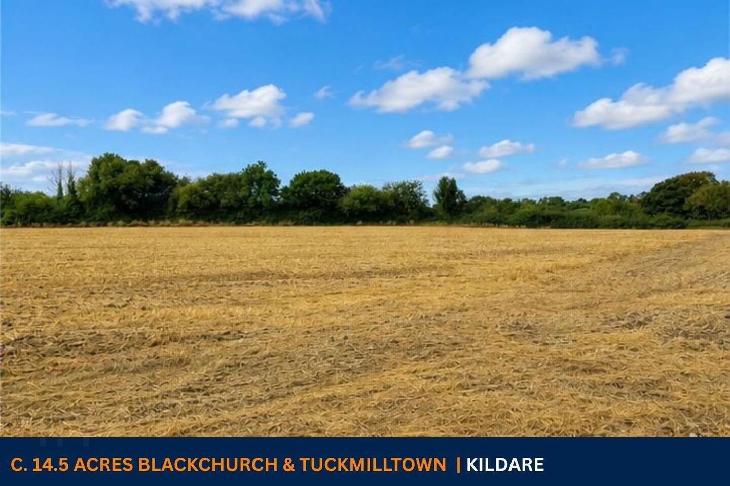 C. 14.5 Acres 1 of 4