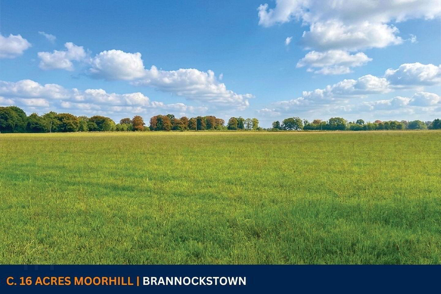 C. 16 Acres 1 of 8