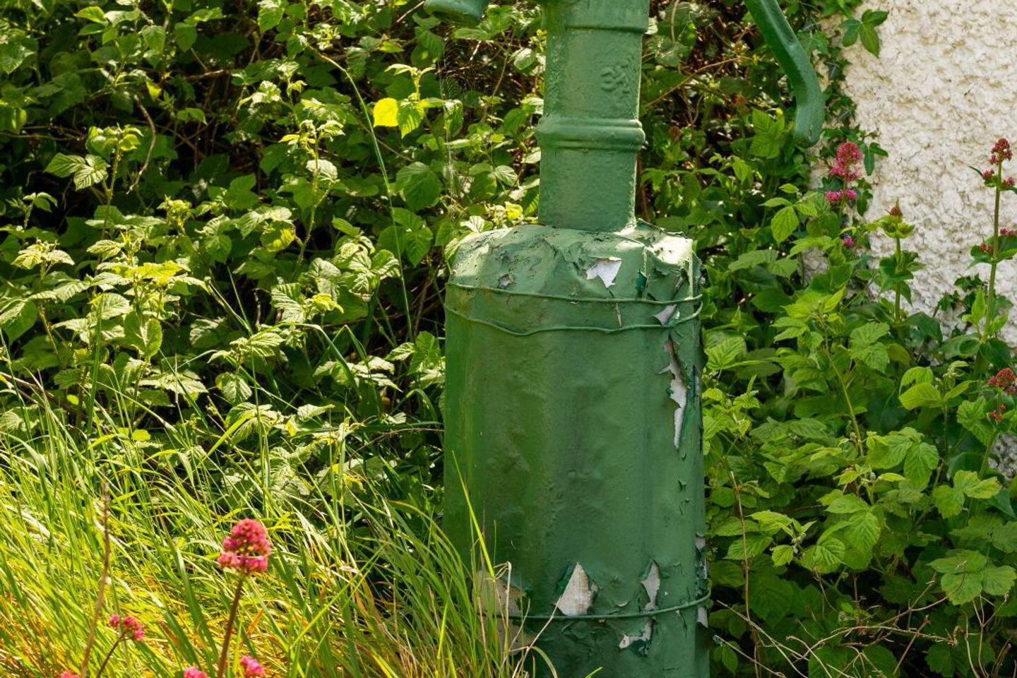 Glasshouse 50 of 50