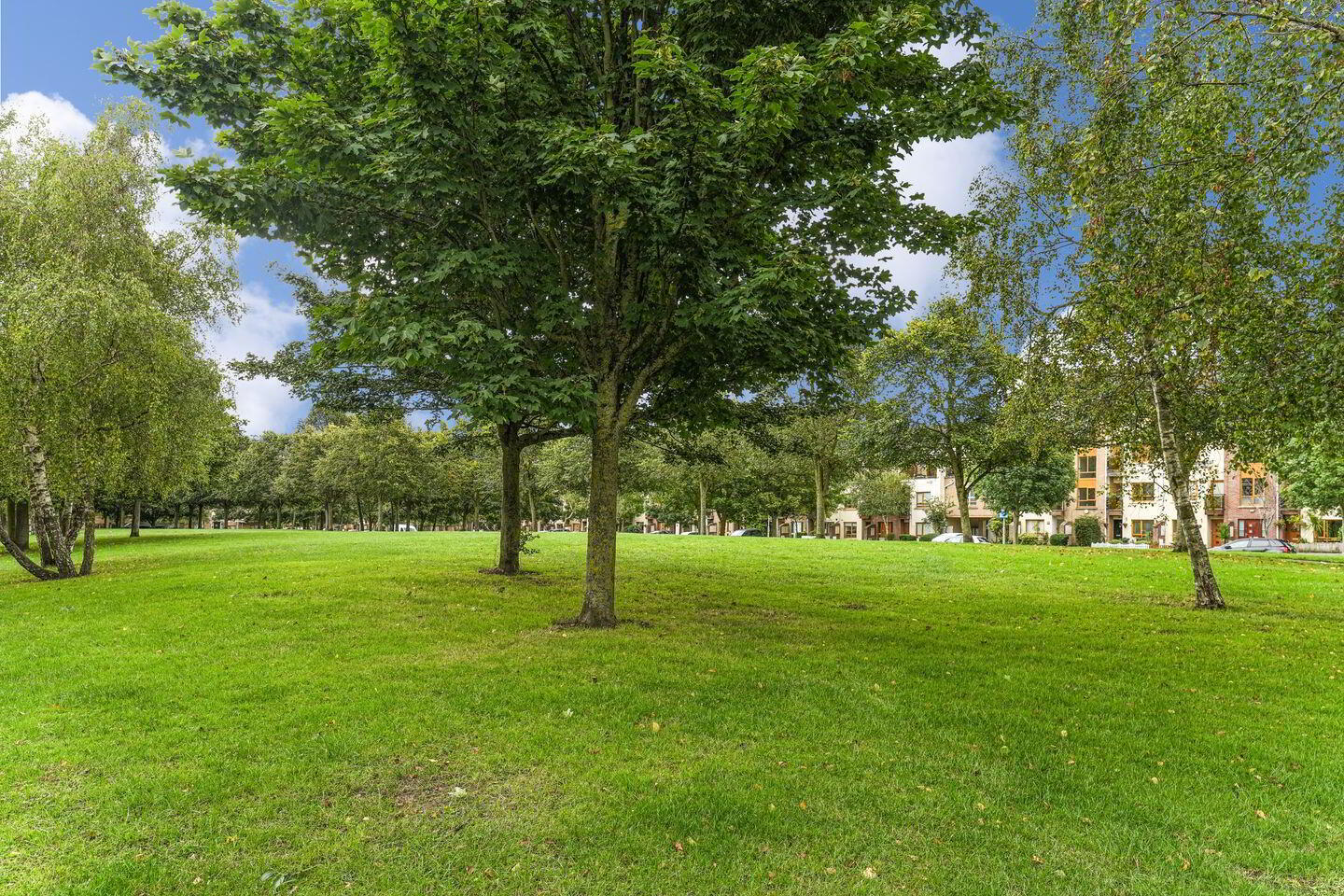 51 Hampton Wood Green 17 of 18