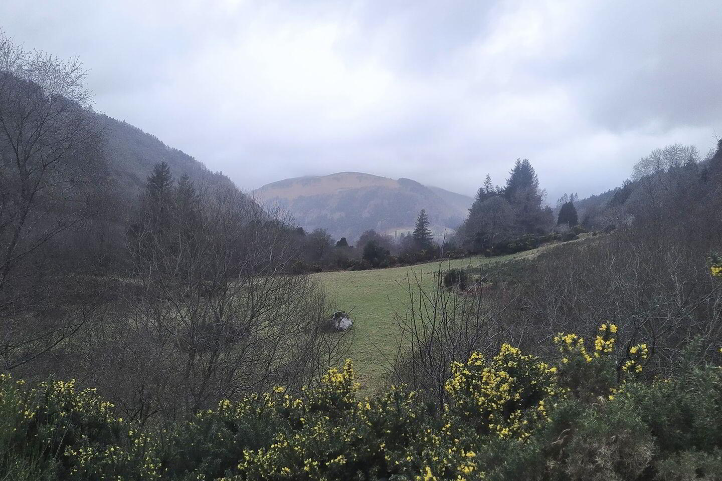 1 Acre Residential Site 3 of 6