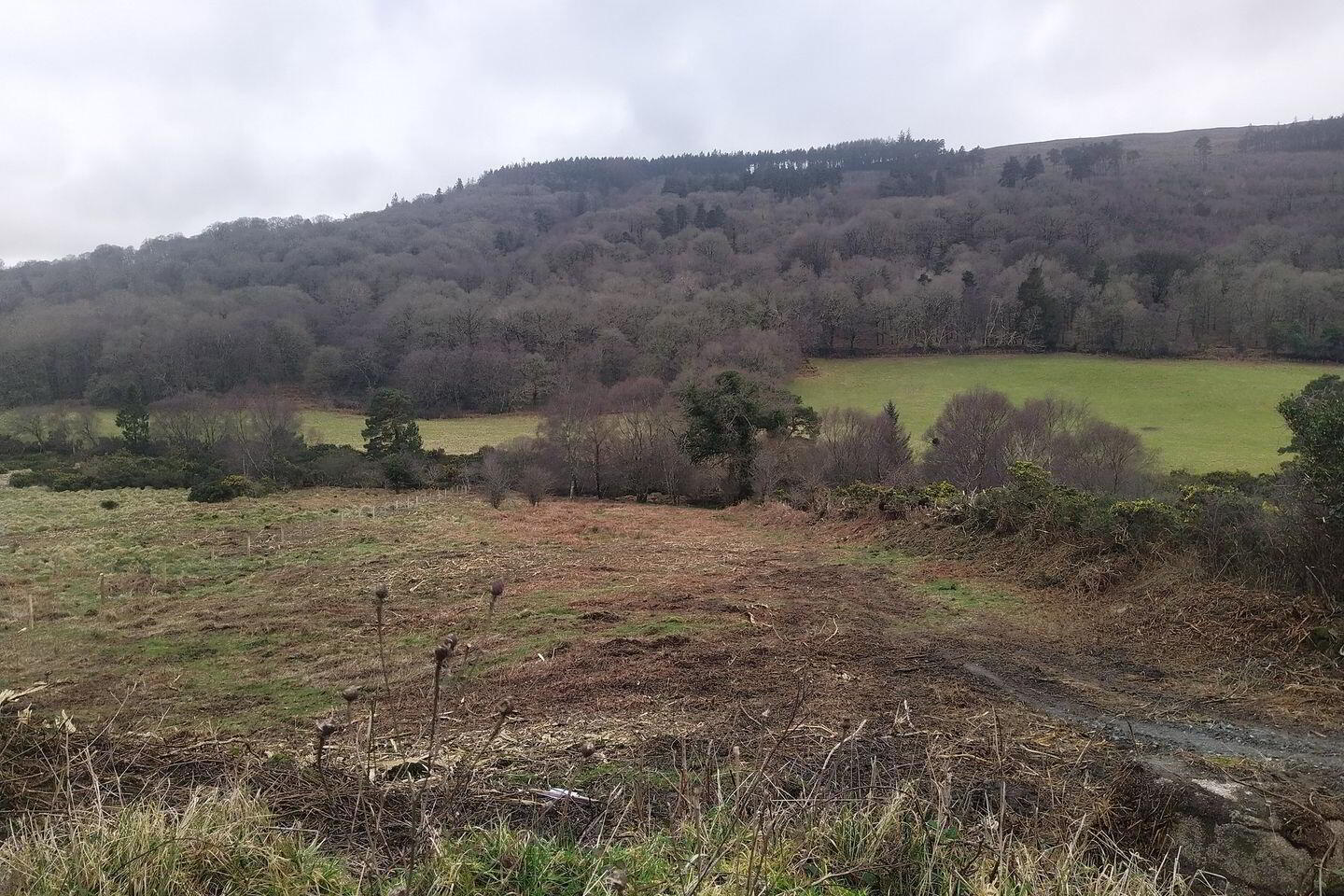 1 Acre Residential Site 2 of 6