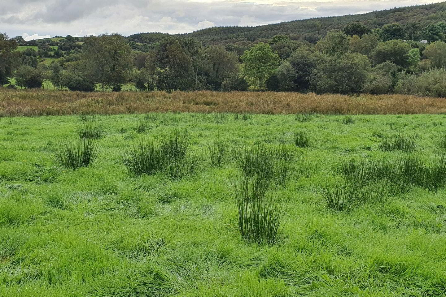 Knappagh 2 of 3