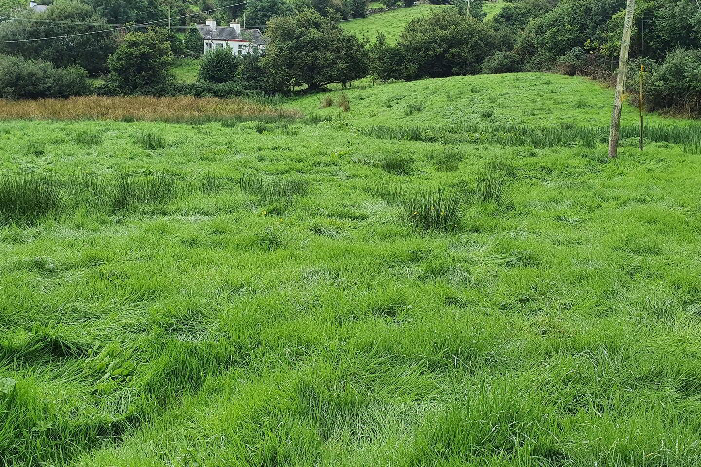 Knappagh 3 of 3