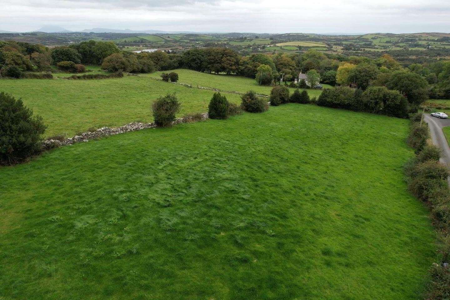 Lankhill 8 of 8