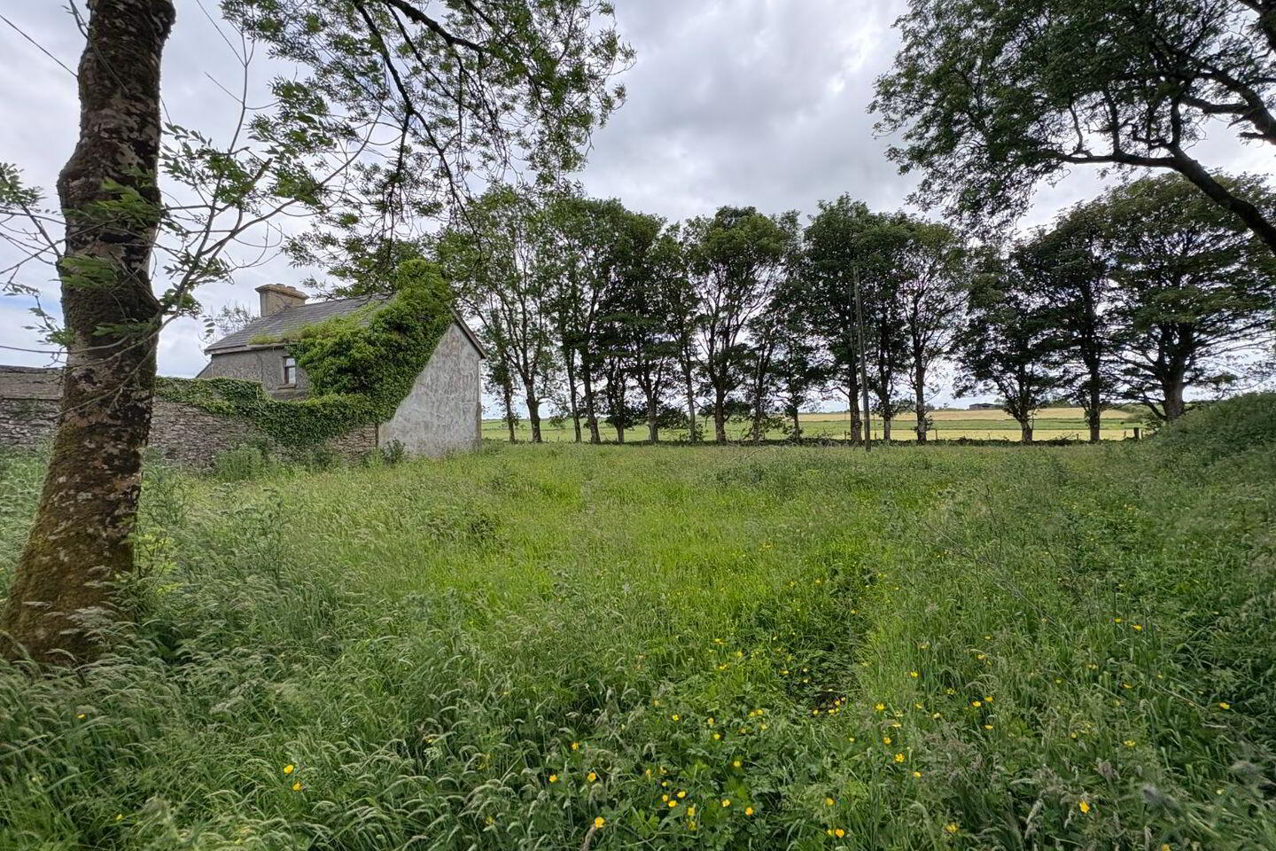 Ardeevin 15 of 16