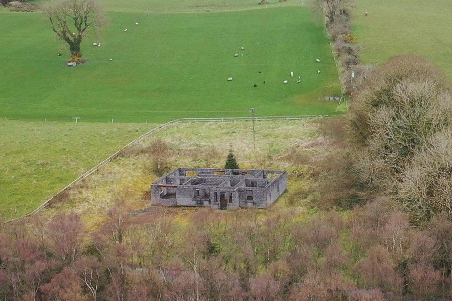 Gortaganny 2 of 11