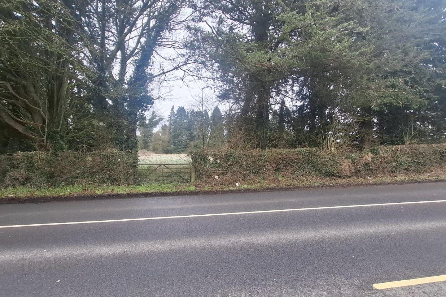 Ardmore Road 2 of 2
