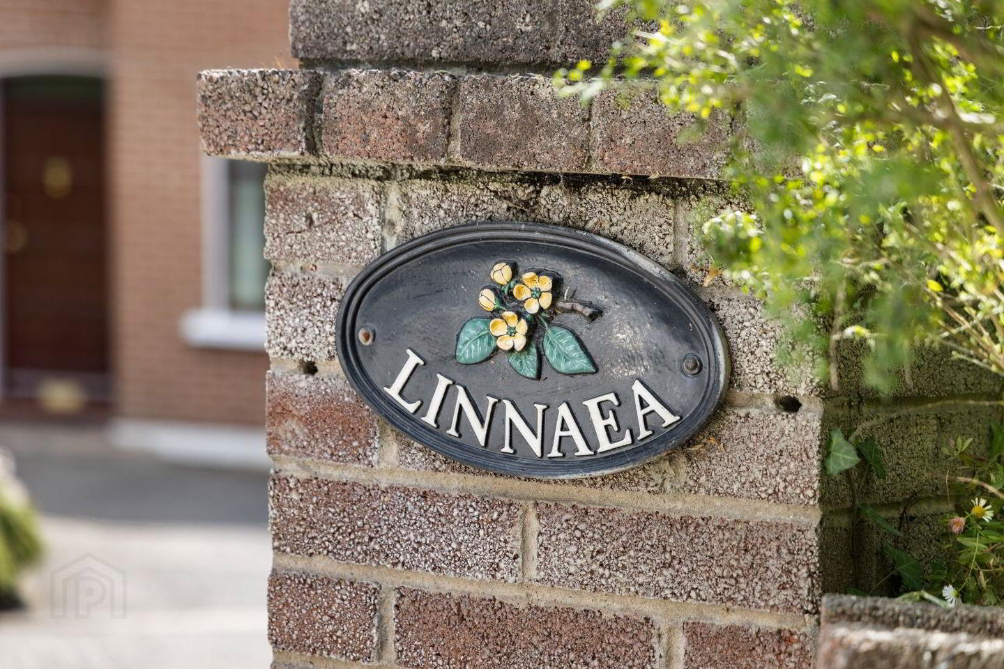 Linnaea 3 of 38