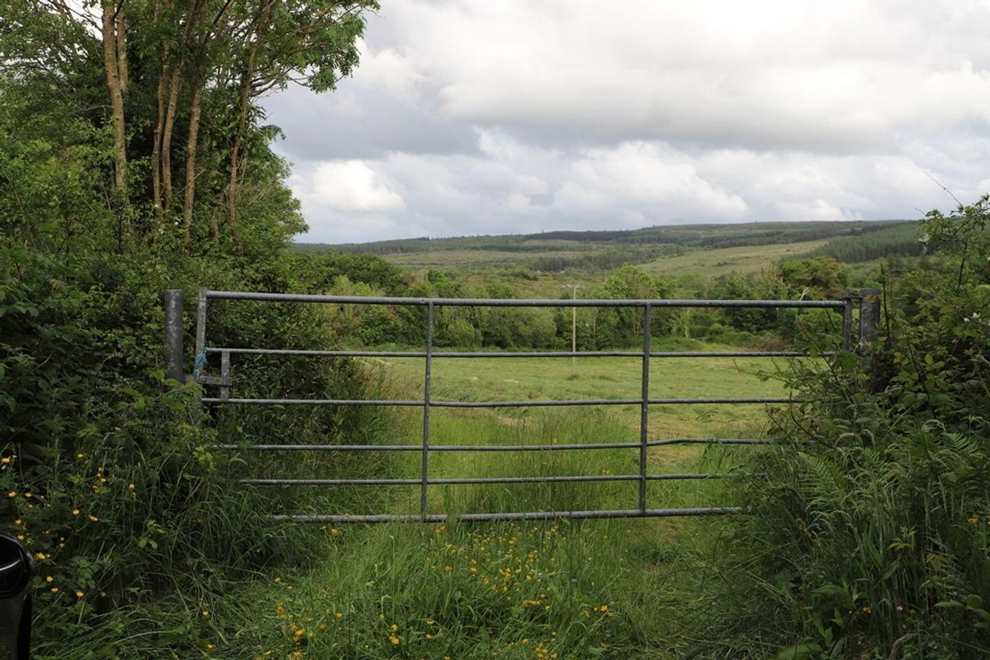 1.1 Acre Site Holymount 3 of 6