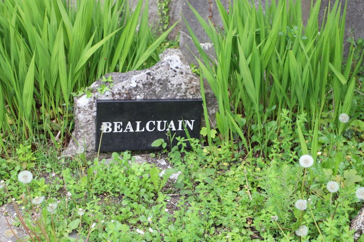 2 Beal Cuain 3 of 24