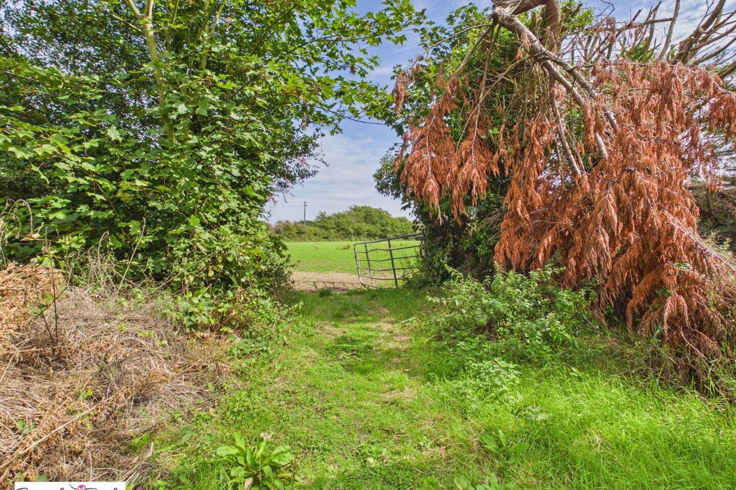 Cottage On Circa 3.06 Acres At Grayrobin 21 of 22