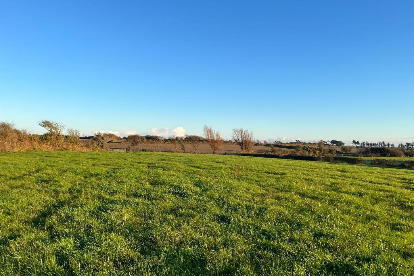 Agricultural Land Circa, 1 34ha 7 of 7