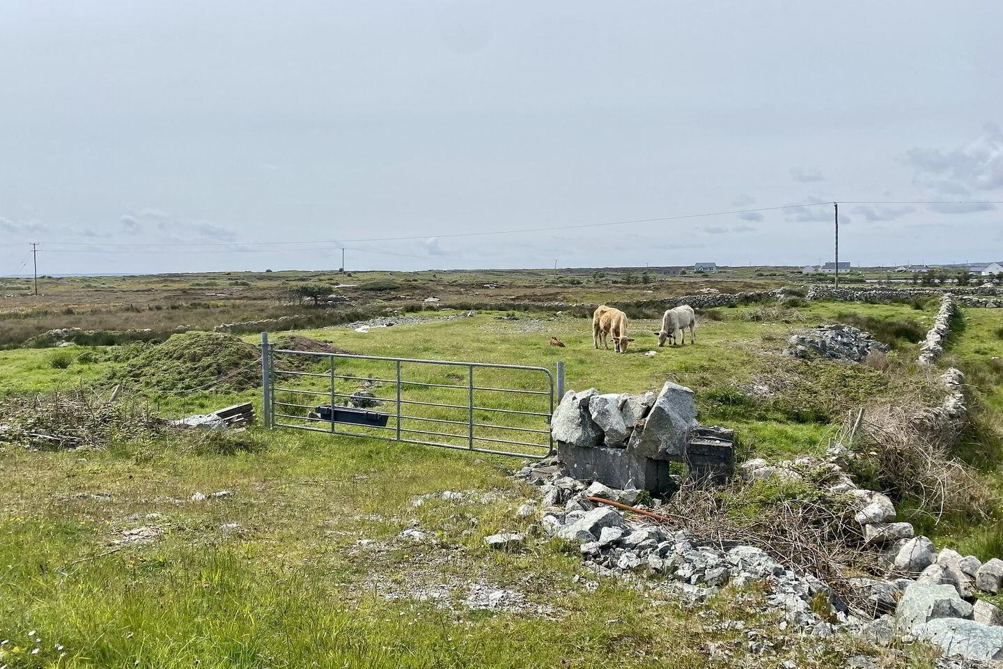 Cloghmore 1 of 8