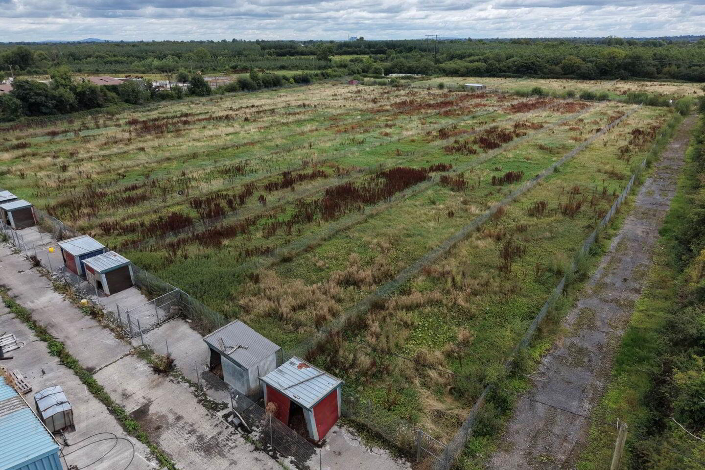 Formerly Mount Cashel Kennels On, C. 10.97 Acres 11 of 12
