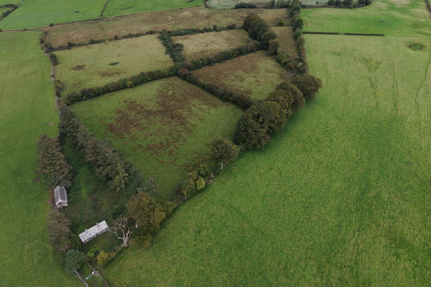 Derelict Residence & Granary C. 28.02 Acres 2 of 7