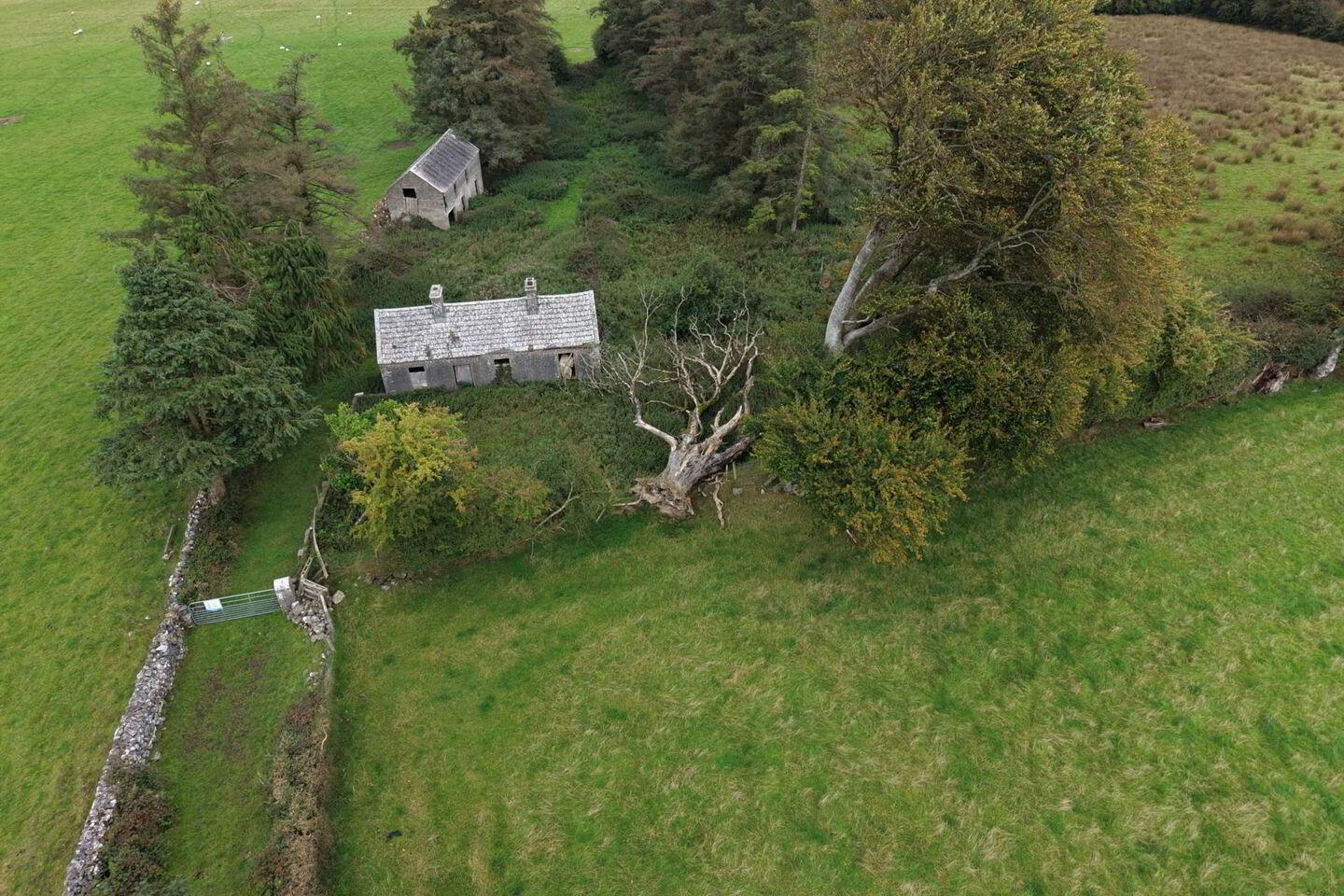 Derelict Residence & Granary C. 28.02 Acres 3 of 7