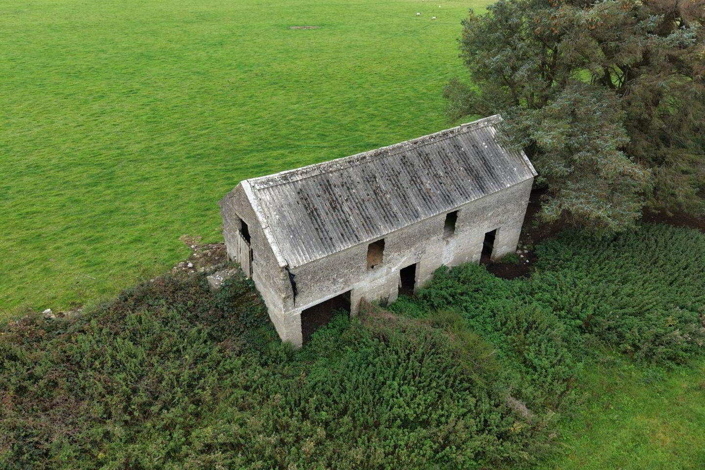 Derelict Residence & Granary C. 28.02 Acres 7 of 7