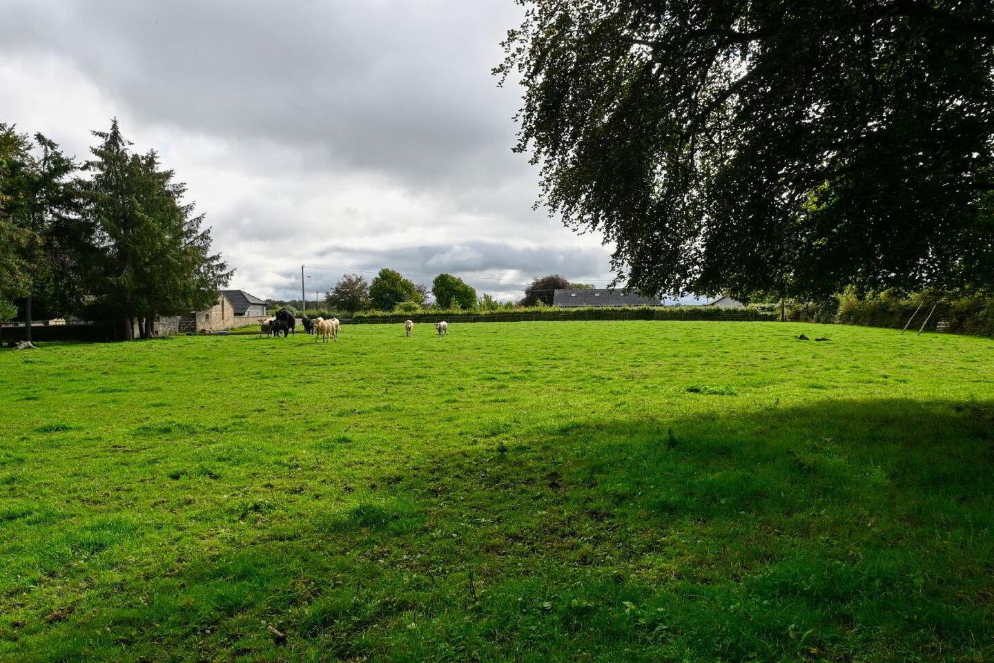 Jenkinstown Park 38 of 39