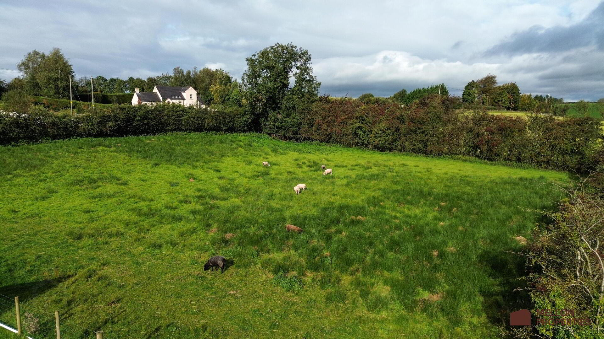 Dromore Road 9 of 9