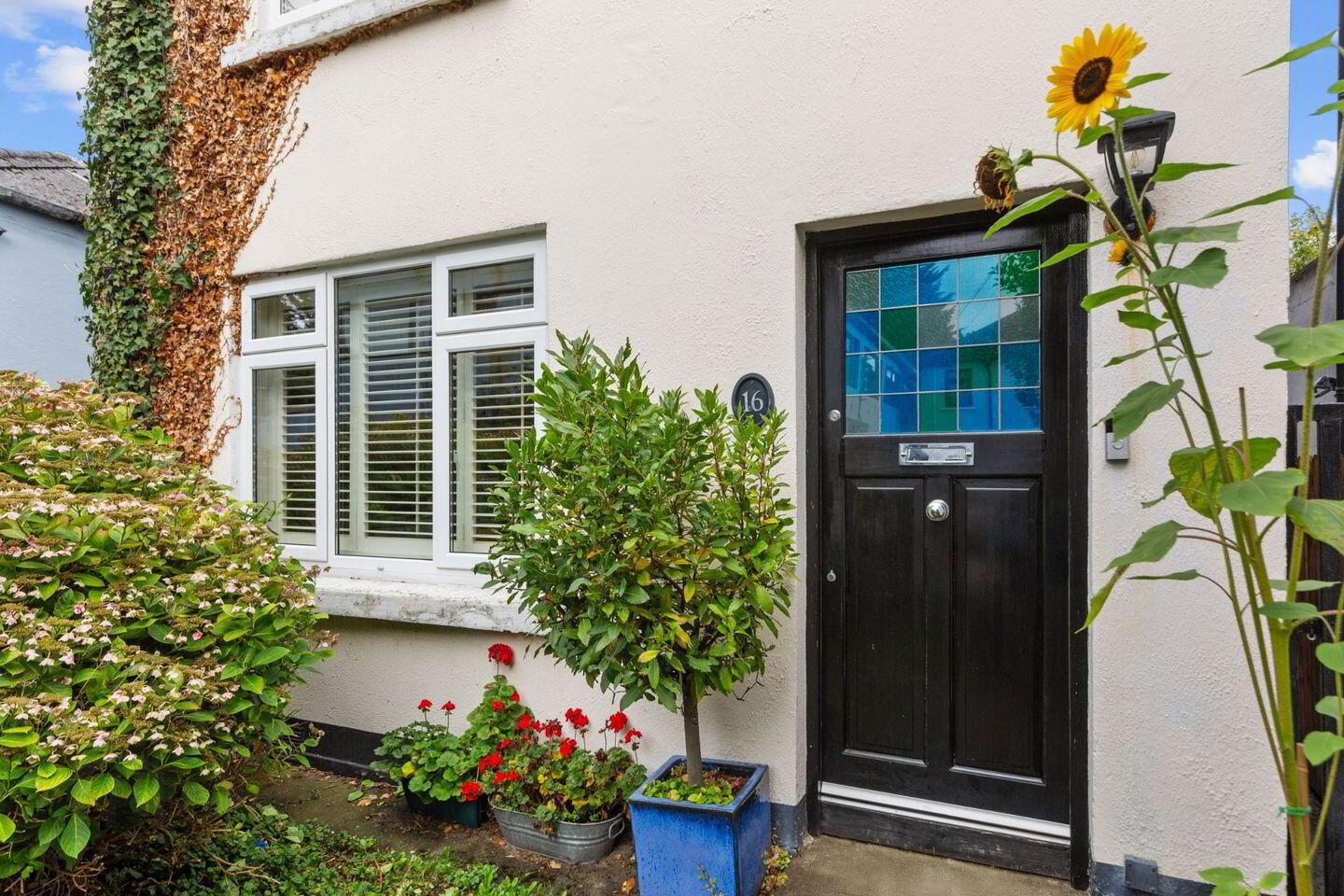 Woodbine, 16 St Clare's Avenue 2 of 14