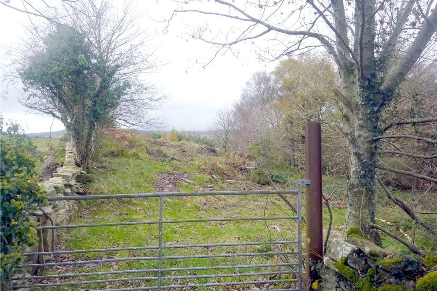Residential Site 2 of 3