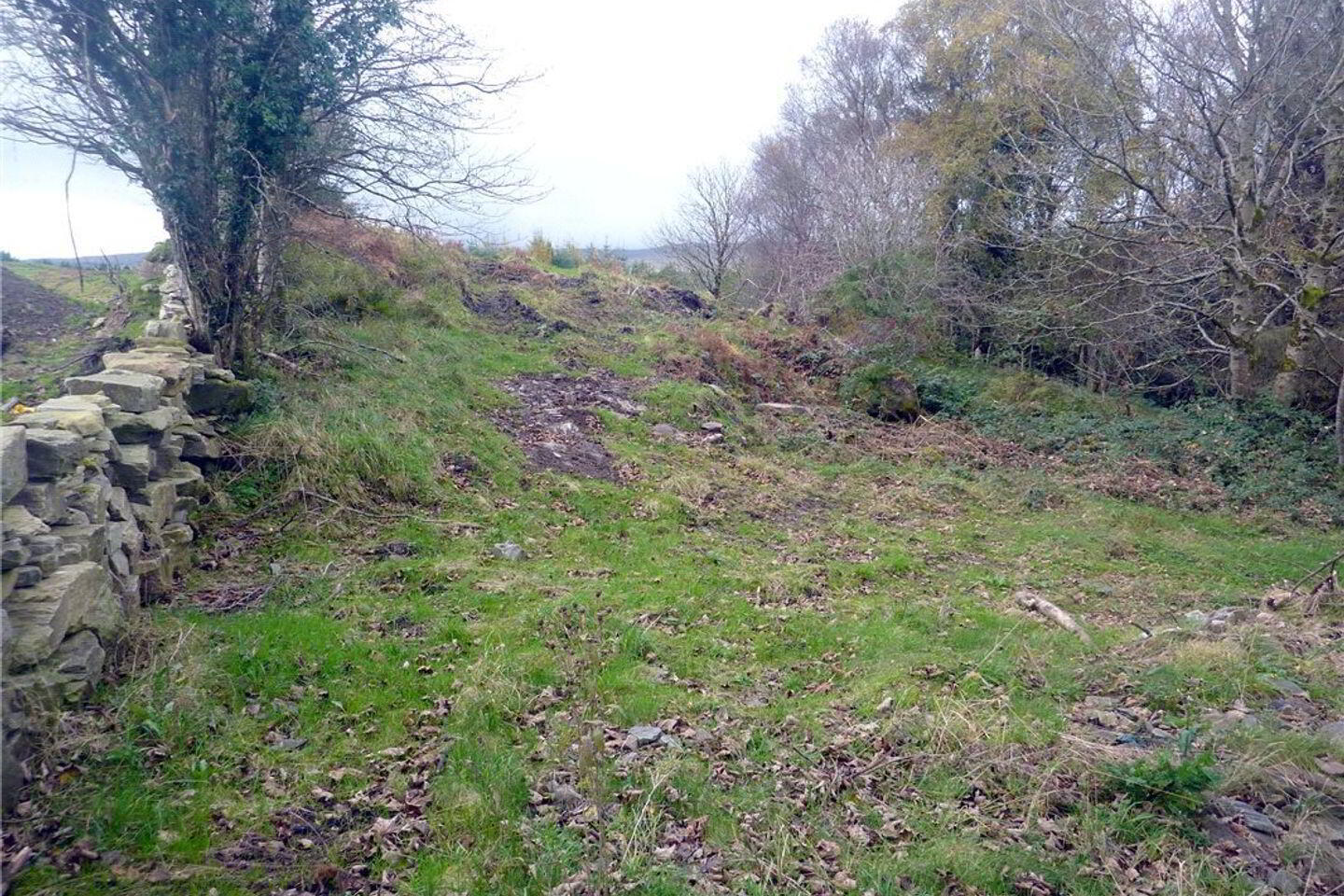 Residential Site 3 of 3
