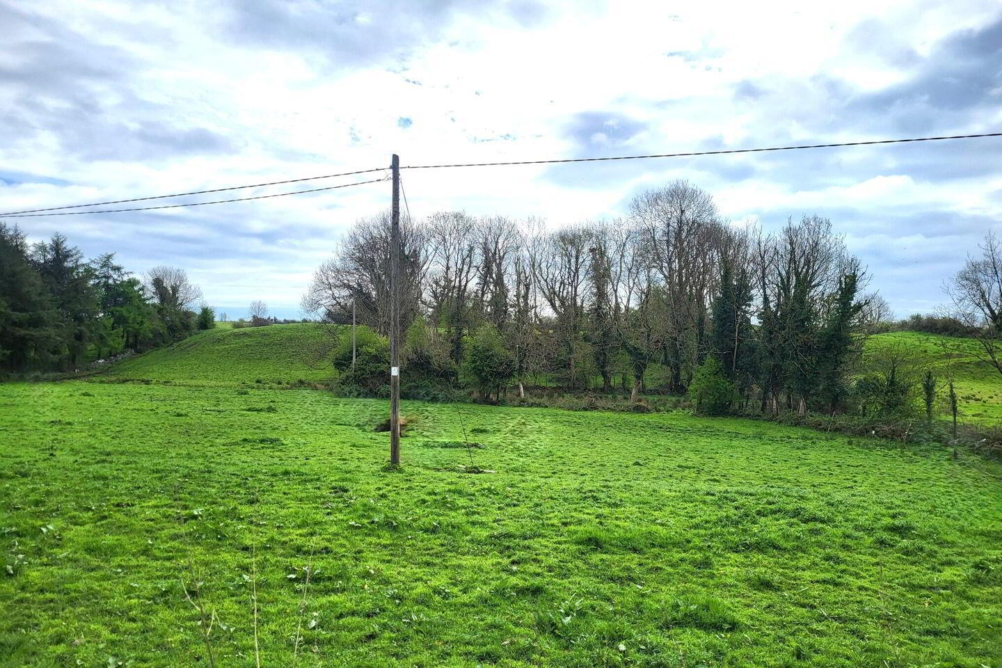 Site, SPP Bunrawer 1 of 6