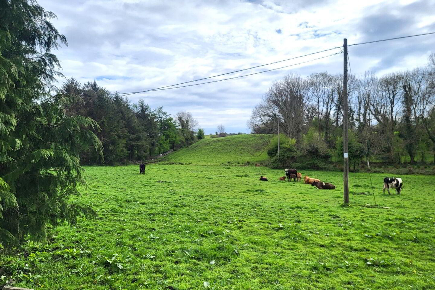 Site, SPP Bunrawer 2 of 6