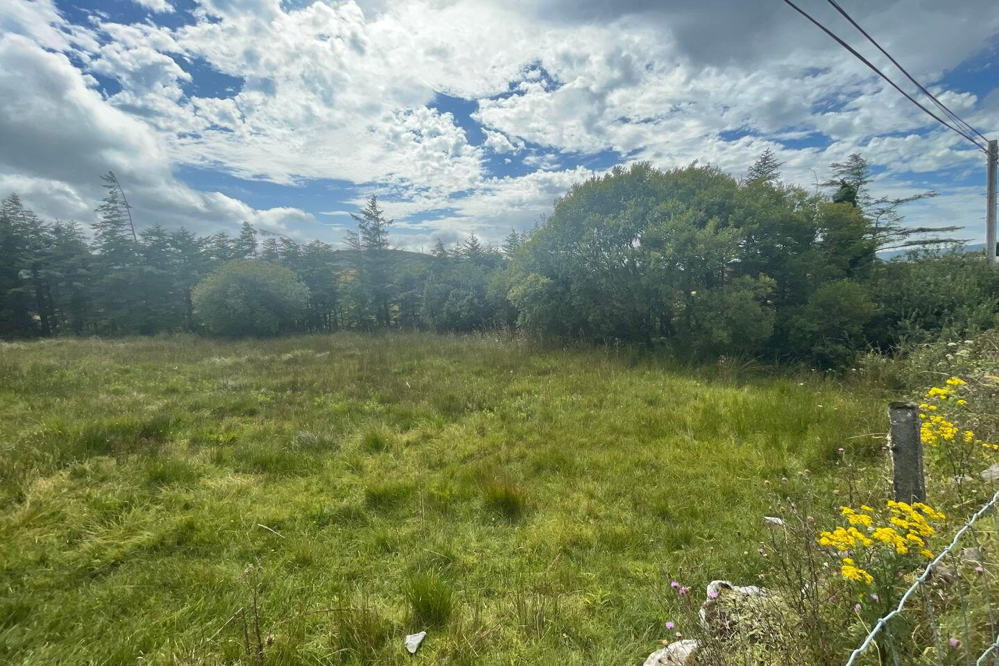 Site, SPP 2 of 6