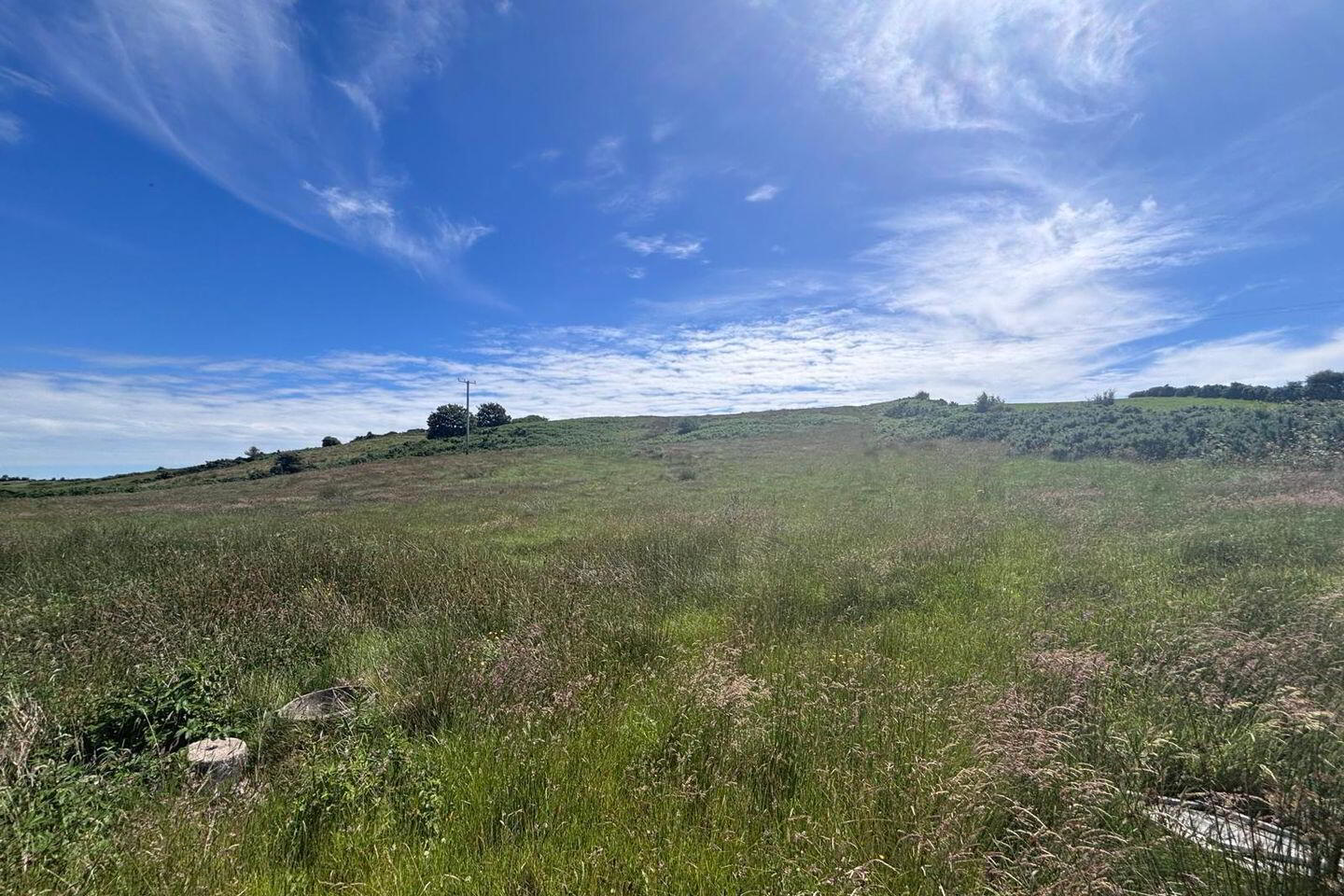 Site, FPP With Adjoining Lands 2 of 8