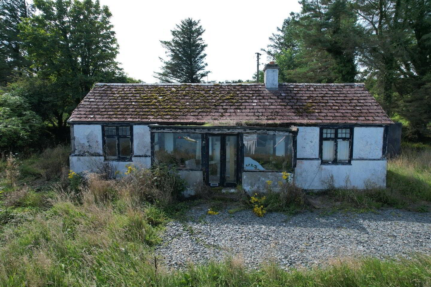 Rosmoney 3 of 13