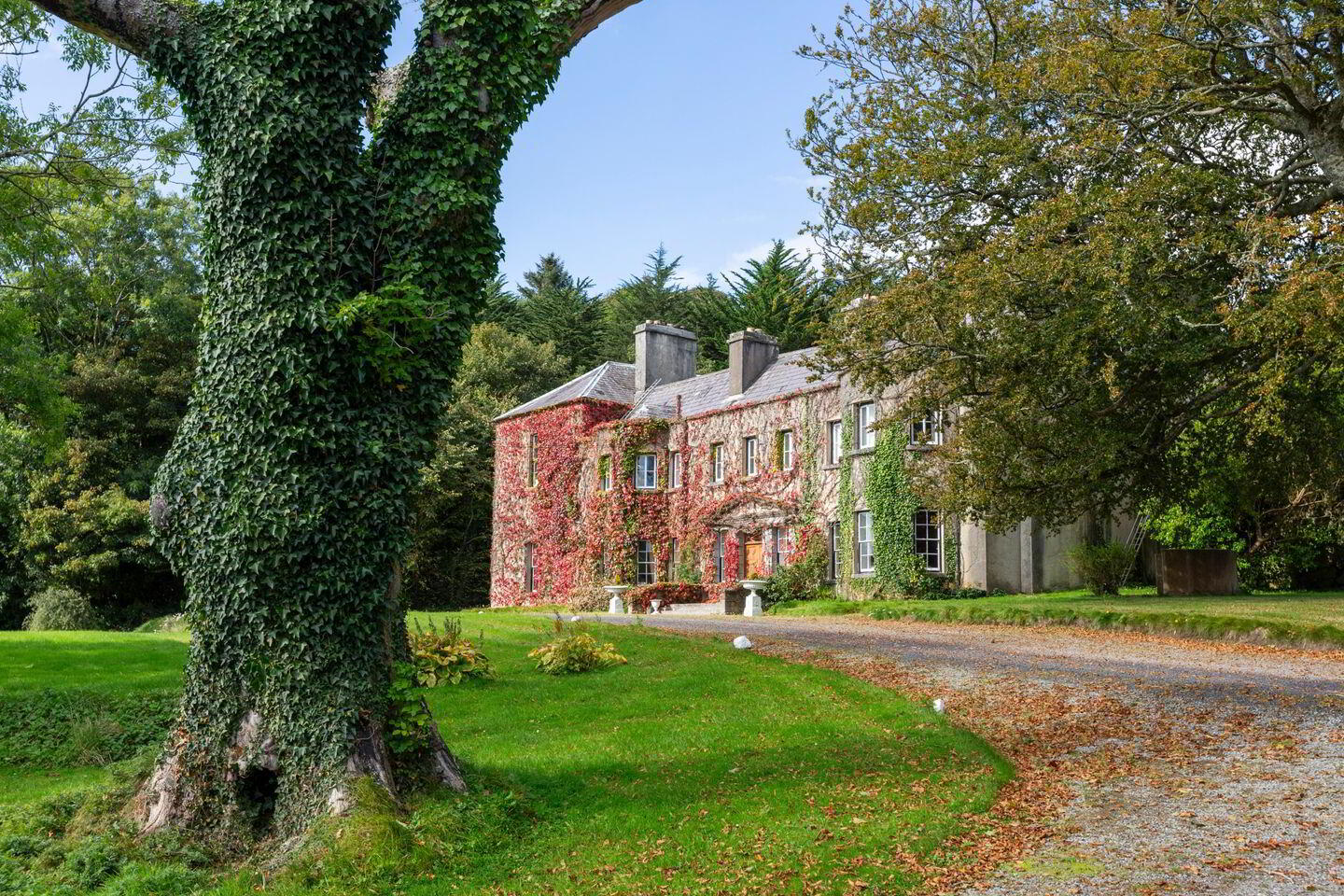 Newport House, Main Street 1 of 22