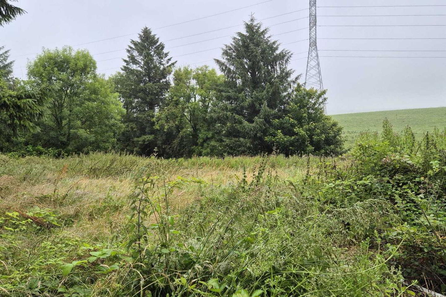 Site At, Ballinbrittig 3 of 3