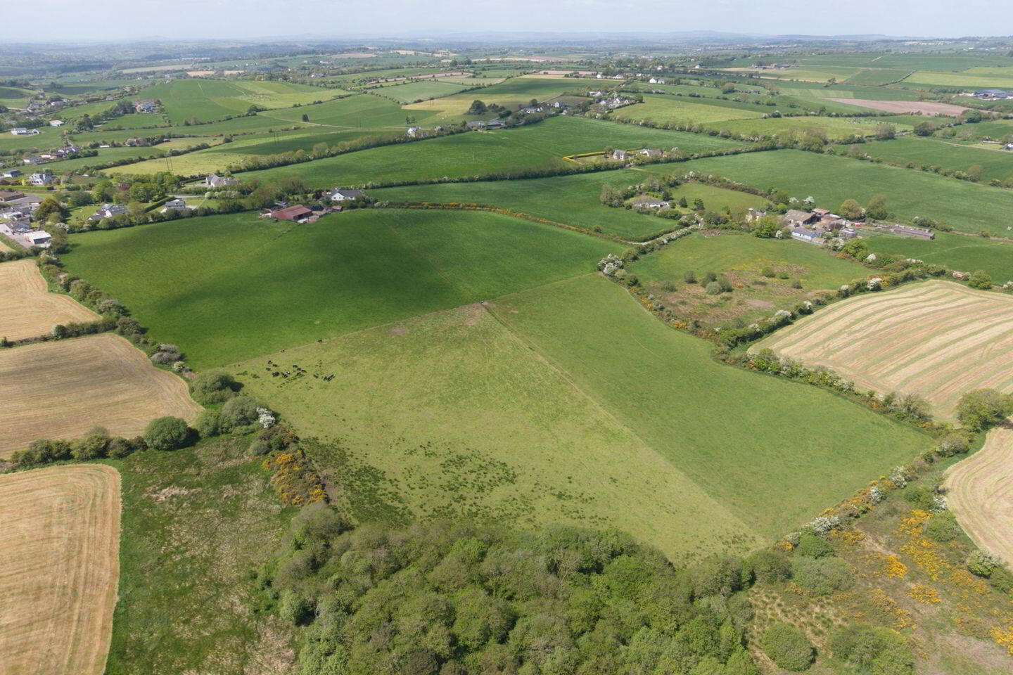 Land At, Killeendaniel 5 of 5