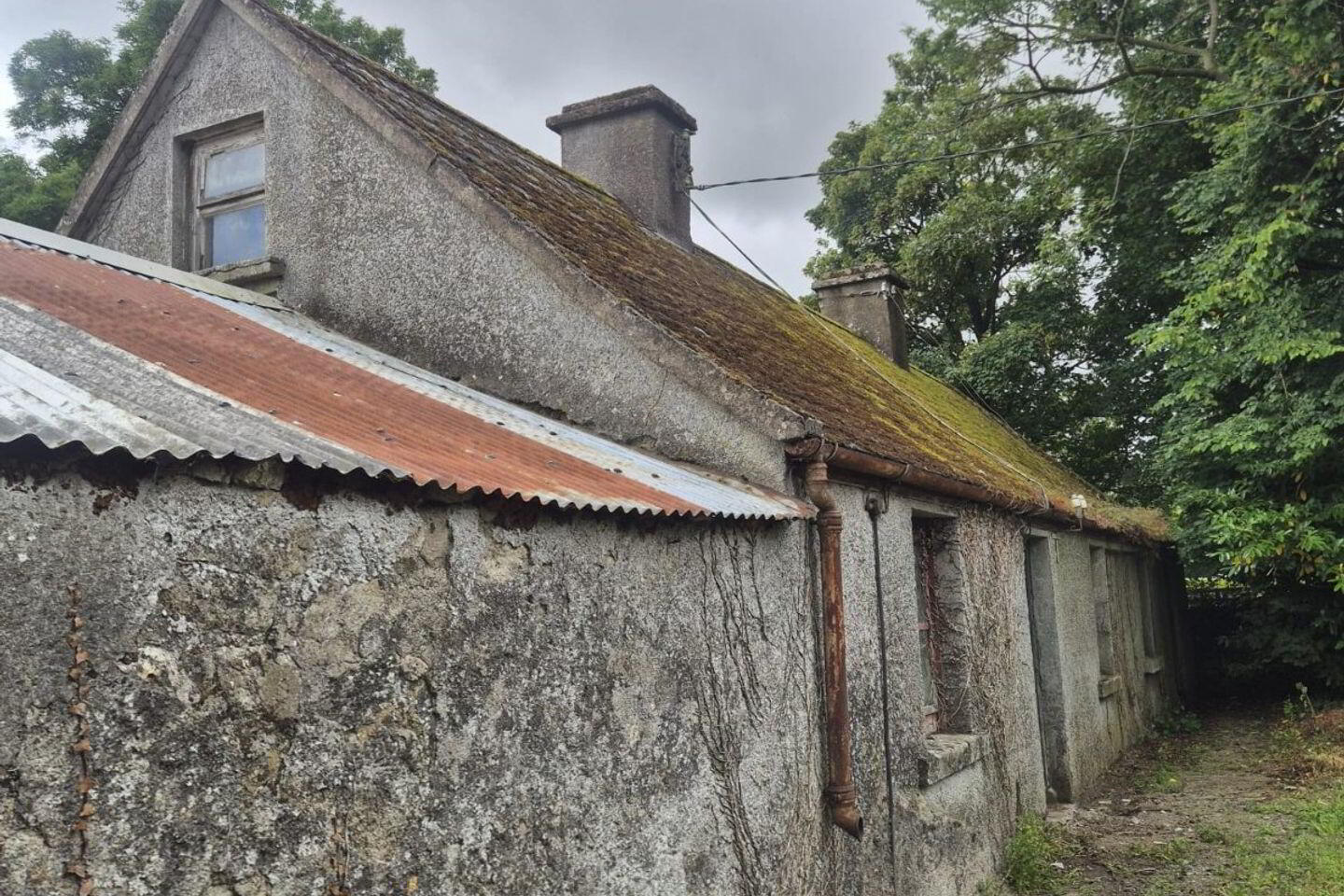 Derelict Cottage 2 of 14