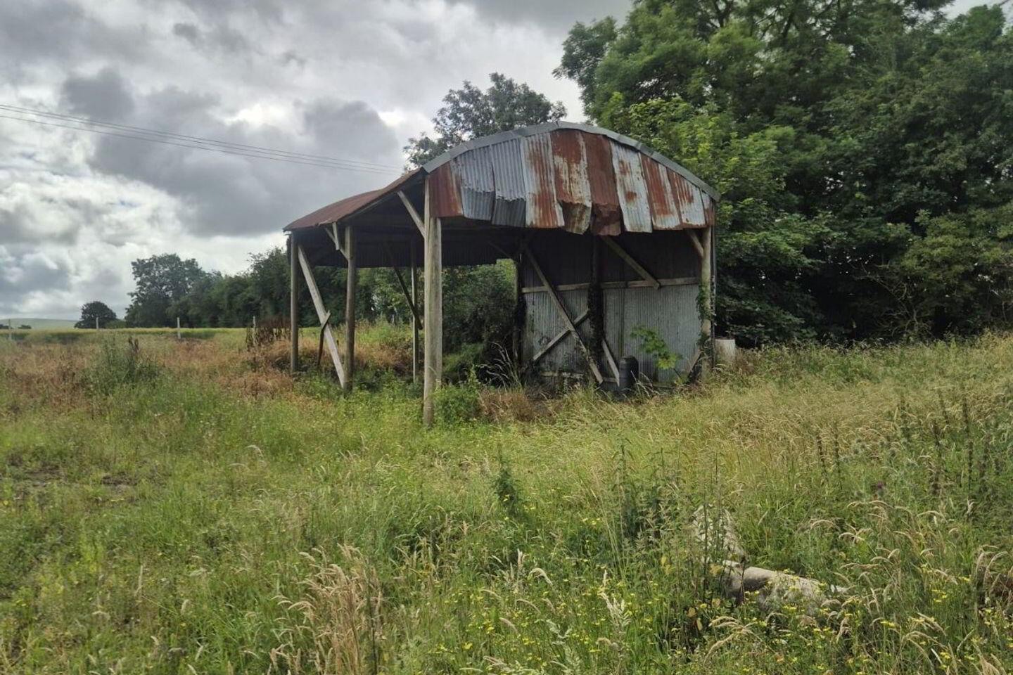 Derelict Cottage 13 of 14