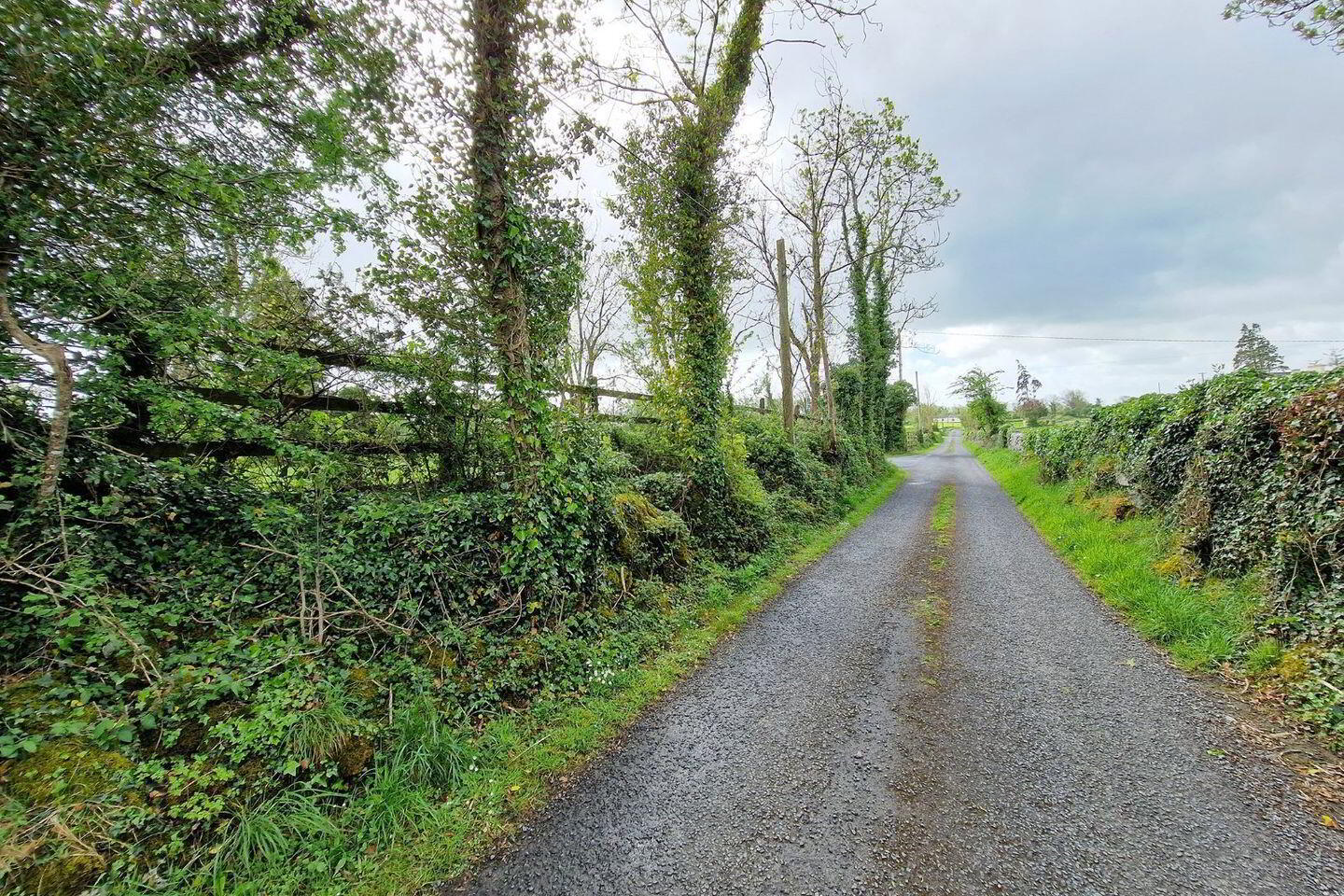 Ballyogan Land 2 of 4